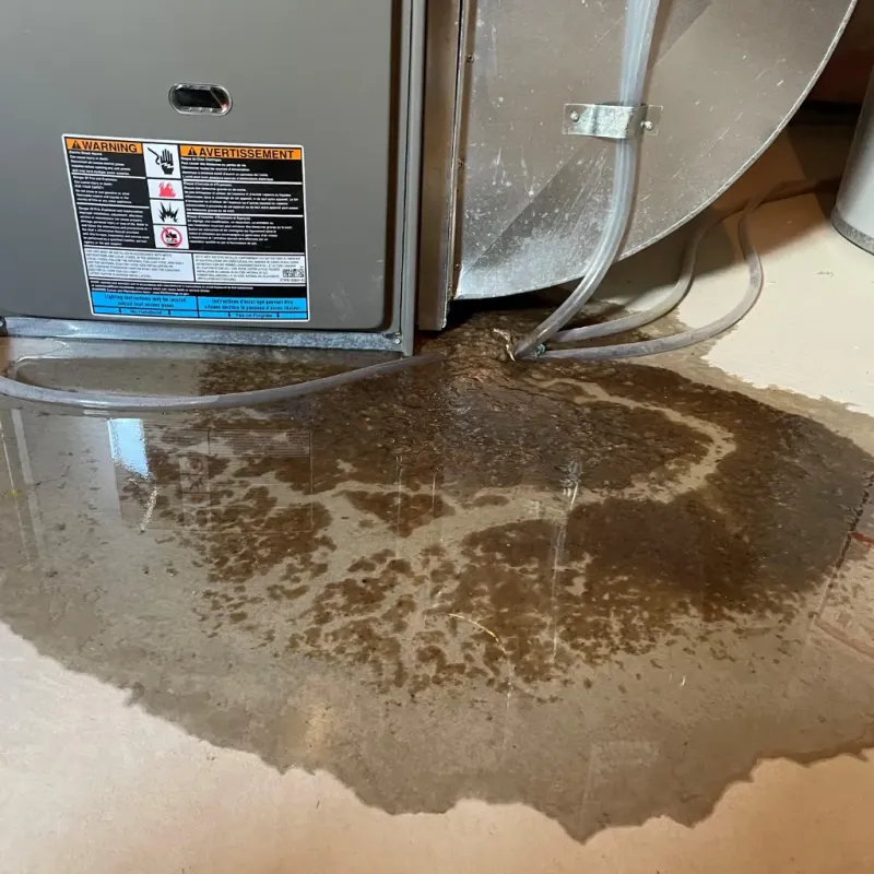 Appliance Leak Cleanup in Swepsonville, NC